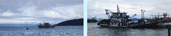 廿載風(fēng)云一路行，馬來(lái)風(fēng)情共見證&mdash;&mdash;2024廣東博皓馬來(lái)西亞之旅   -7