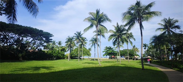 廿載風(fēng)云一路行，馬來(lái)風(fēng)情共見證&mdash;&mdash;2024廣東博皓馬來(lái)西亞之旅   -25