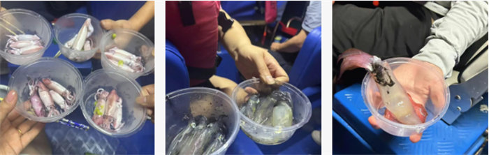 攜手博皓逐夢行，巽寮灣上展豪情&mdash;廣東博皓2025年巽寮灣之旅    -10